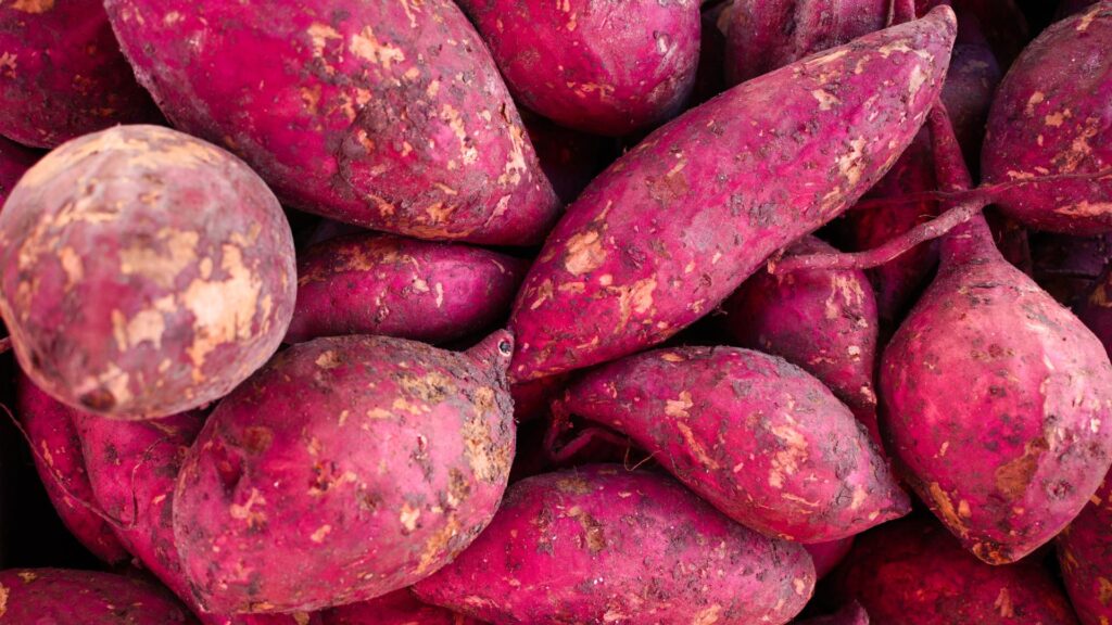 Sweet Potato Delights: The Superstars of Yummy and Healthy Eating