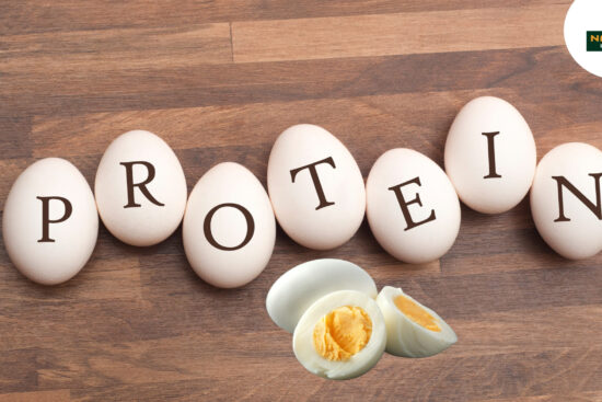Egg White Protein The nutrition Key to Enhancing Performance Naturally