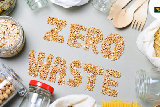 2025’s Best Plastic-Free and Biodegradable Alternatives