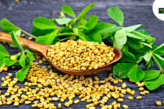 Fenugreek Seeds for Glowing Skin and Healthy Hair