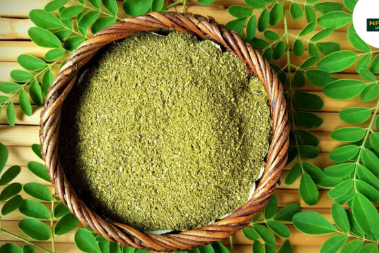 Moringa Magic Nature’s Green Superpower for Health & Vitality