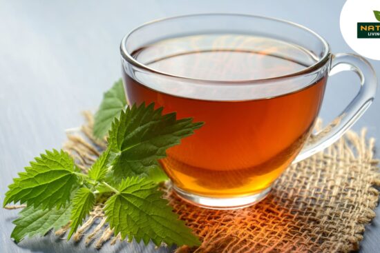Feeling Run Down These 5 Teas Are Your Secret Weapon!