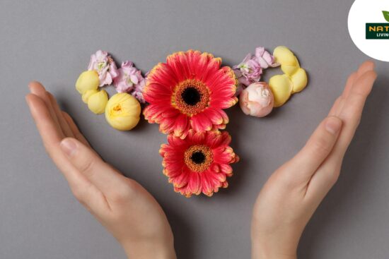 Foods That Support Hormonal Balance