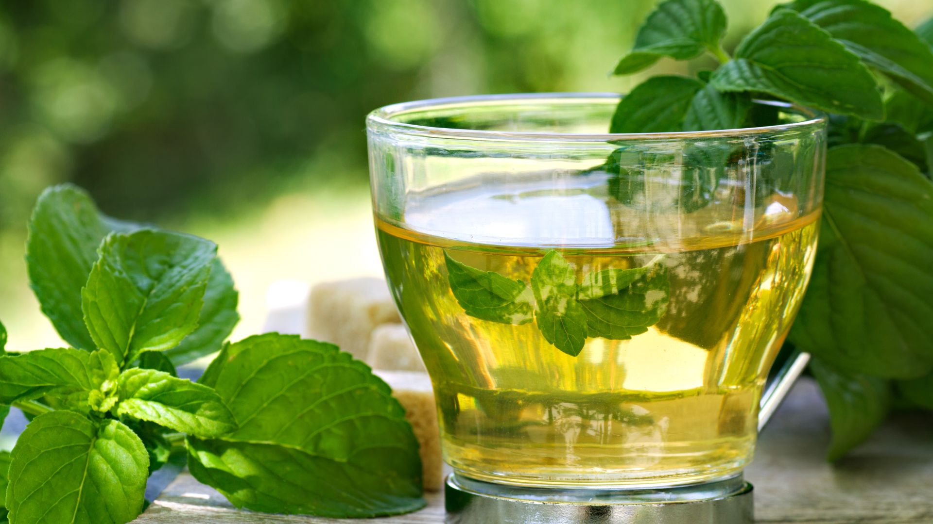 8 Surprising Benefits of Spearmint Tea and Essential Oil