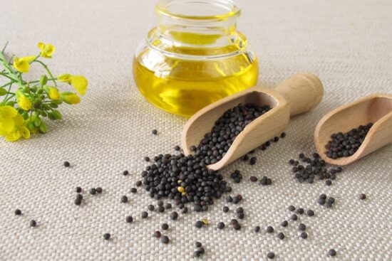 Canola Oil: Nutrition, Benefits, Risks, and Its Role in Modern Cooking
