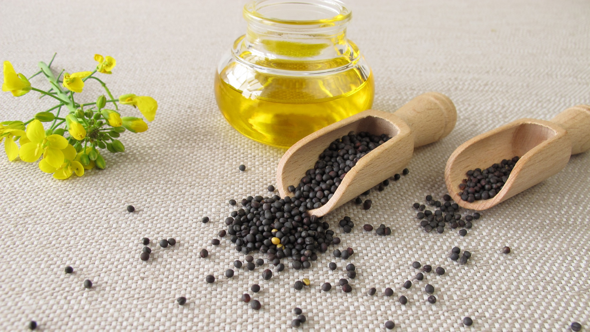Canola Oil: Nutrition, Benefits, Risks, and Its Role in Modern Cooking