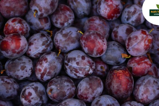 Plums are small, juicy fruits that come in a variety of colors — from deep purple to red and golden yellow. They are more than just sweet treats; plums are packed with powerful nutrients and medicinal compounds that can boost your overall health. But like any food, they come with a few caveats too. Let’s dive deep into the nutritional profile, health benefits, and potential risks of including plums in your diet. Nutritional Facts of Plums (Per 100g) Nutrient Amount Calories 46 kcal Carbohydrates 11.4 g Sugars 9.9 g Dietary Fiber 1.4 g Protein 0.7 g Fat 0.3 g Vitamin C 9.5 mg (16% DV) Vitamin A 345 IU (7% DV) Vitamin K 6.4 mcg (8% DV) Potassium 157 mg Magnesium 7 mg Iron 0.17 mg *DV = Daily Value based on a 2,000-calorie diet. Plums are low in calories but rich in antioxidants, vitamins, and minerals, making them an excellent addition to your daily fruit intake. Health Benefits of Plums 1. Rich in Antioxidants Plums contain powerful polyphenols, especially anthocyanins, which help reduce oxidative stress. These antioxidants combat free radicals and may protect against heart disease and cancer. 2. Supports Digestive Health Plums are high in dietary fiber and sorbitol, a natural sugar alcohol that acts as a mild laxative. They help regulate bowel movements and prevent constipation. Dried plums (prunes) are even more effective. 3. Promotes Heart Health Thanks to potassium and fiber, plums may help lower blood pressure, reduce LDL cholesterol, and improve overall heart function. Their anti-inflammatory properties also reduce the risk of atherosclerosis. 4. Regulates Blood Sugar Despite being sweet, plums have a low glycemic index. The fiber content helps slow sugar absorption, making them a smart fruit choice for people with type 2 diabetes or insulin resistance. 5. Boosts Immunity Plums are a good source of vitamin C, which boosts white blood cell production and strengthens the immune response. Regular consumption may reduce the duration and severity of colds and infections. 6. Supports Bone Health Dried plums contain compounds like boron and vitamin K that support bone density and reduce the risk of osteoporosis, especially in postmenopausal women. 7. Improves Skin Health Antioxidants in plums help protect the skin from aging and environmental damage. Vitamin C promotes collagen production, keeping the skin firm and youthful. 8. Aids in Weight Management Low in calories and high in fiber, plums help you feel full longer, reducing unnecessary snacking and aiding in weight loss. Possible Risks and Side Effects of Eating Plums While plums are generally safe, there are some situations where caution is advised: 1. May Cause Digestive Discomfort Eating too many plums (or prunes) can lead to bloating, gas, or diarrhea due to their high fiber and sorbitol content. 2. Sugar Content Although natural, plums are high in sugar. Overconsumption can spike blood sugar levels, especially in people with diabetes. 3. Allergic Reactions Rarely, plums may cause allergies in some individuals — leading to itching, swelling, or difficulty breathing. 4. Oxalate Content Plums contain oxalates, which can contribute to the formation of kidney stones in susceptible individuals. 5. Interaction with Medications Due to their high vitamin K levels, plums might interfere with blood-thinning medications like warfarin. If you're on such medications, consult your doctor. How to Include Plums in Your Diet Eat them fresh as a snack Add to fruit salads, yogurt, or smoothies Bake them into tarts, pies, or cakes Use dried plums (prunes) in cereals or savory dishes Make plum chutneys or sauces Tip: Choose ripe plums with smooth skin and a slight give when pressed. Store in the fridge and wash before eating. Conclusion Plums are a nutritional powerhouse wrapped in a delicious, colorful skin. They are good for your heart, digestive system, immunity, and even your bones. But like all good things, moderation is key. If you’re looking to improve your diet naturally, adding a few plums to your daily routine can be a sweet and smart move.