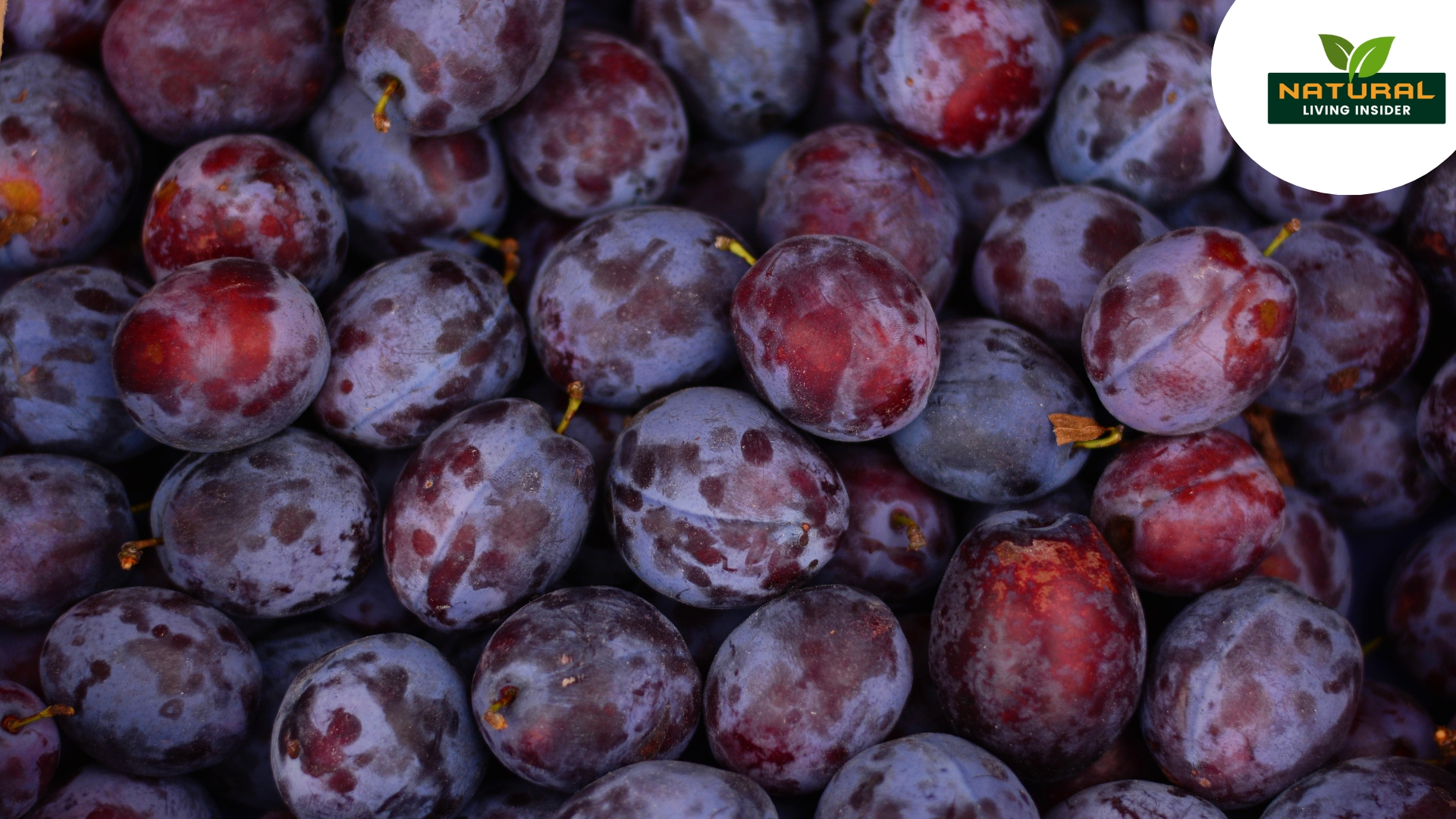 Plums are small, juicy fruits that come in a variety of colors — from deep purple to red and golden yellow. They are more than just sweet treats; plums are packed with powerful nutrients and medicinal compounds that can boost your overall health. But like any food, they come with a few caveats too. Let’s dive deep into the nutritional profile, health benefits, and potential risks of including plums in your diet. Nutritional Facts of Plums (Per 100g) Nutrient Amount Calories 46 kcal Carbohydrates 11.4 g Sugars 9.9 g Dietary Fiber 1.4 g Protein 0.7 g Fat 0.3 g Vitamin C 9.5 mg (16% DV) Vitamin A 345 IU (7% DV) Vitamin K 6.4 mcg (8% DV) Potassium 157 mg Magnesium 7 mg Iron 0.17 mg *DV = Daily Value based on a 2,000-calorie diet. Plums are low in calories but rich in antioxidants, vitamins, and minerals, making them an excellent addition to your daily fruit intake. Health Benefits of Plums 1. Rich in Antioxidants Plums contain powerful polyphenols, especially anthocyanins, which help reduce oxidative stress. These antioxidants combat free radicals and may protect against heart disease and cancer. 2. Supports Digestive Health Plums are high in dietary fiber and sorbitol, a natural sugar alcohol that acts as a mild laxative. They help regulate bowel movements and prevent constipation. Dried plums (prunes) are even more effective. 3. Promotes Heart Health Thanks to potassium and fiber, plums may help lower blood pressure, reduce LDL cholesterol, and improve overall heart function. Their anti-inflammatory properties also reduce the risk of atherosclerosis. 4. Regulates Blood Sugar Despite being sweet, plums have a low glycemic index. The fiber content helps slow sugar absorption, making them a smart fruit choice for people with type 2 diabetes or insulin resistance. 5. Boosts Immunity Plums are a good source of vitamin C, which boosts white blood cell production and strengthens the immune response. Regular consumption may reduce the duration and severity of colds and infections. 6. Supports Bone Health Dried plums contain compounds like boron and vitamin K that support bone density and reduce the risk of osteoporosis, especially in postmenopausal women. 7. Improves Skin Health Antioxidants in plums help protect the skin from aging and environmental damage. Vitamin C promotes collagen production, keeping the skin firm and youthful. 8. Aids in Weight Management Low in calories and high in fiber, plums help you feel full longer, reducing unnecessary snacking and aiding in weight loss. Possible Risks and Side Effects of Eating Plums While plums are generally safe, there are some situations where caution is advised: 1. May Cause Digestive Discomfort Eating too many plums (or prunes) can lead to bloating, gas, or diarrhea due to their high fiber and sorbitol content. 2. Sugar Content Although natural, plums are high in sugar. Overconsumption can spike blood sugar levels, especially in people with diabetes. 3. Allergic Reactions Rarely, plums may cause allergies in some individuals — leading to itching, swelling, or difficulty breathing. 4. Oxalate Content Plums contain oxalates, which can contribute to the formation of kidney stones in susceptible individuals. 5. Interaction with Medications Due to their high vitamin K levels, plums might interfere with blood-thinning medications like warfarin. If you're on such medications, consult your doctor. How to Include Plums in Your Diet Eat them fresh as a snack Add to fruit salads, yogurt, or smoothies Bake them into tarts, pies, or cakes Use dried plums (prunes) in cereals or savory dishes Make plum chutneys or sauces Tip: Choose ripe plums with smooth skin and a slight give when pressed. Store in the fridge and wash before eating. Conclusion Plums are a nutritional powerhouse wrapped in a delicious, colorful skin. They are good for your heart, digestive system, immunity, and even your bones. But like all good things, moderation is key. If you’re looking to improve your diet naturally, adding a few plums to your daily routine can be a sweet and smart move.