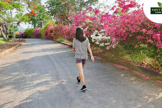 How a Daily Long Walk Can Transform Your Mind and Body