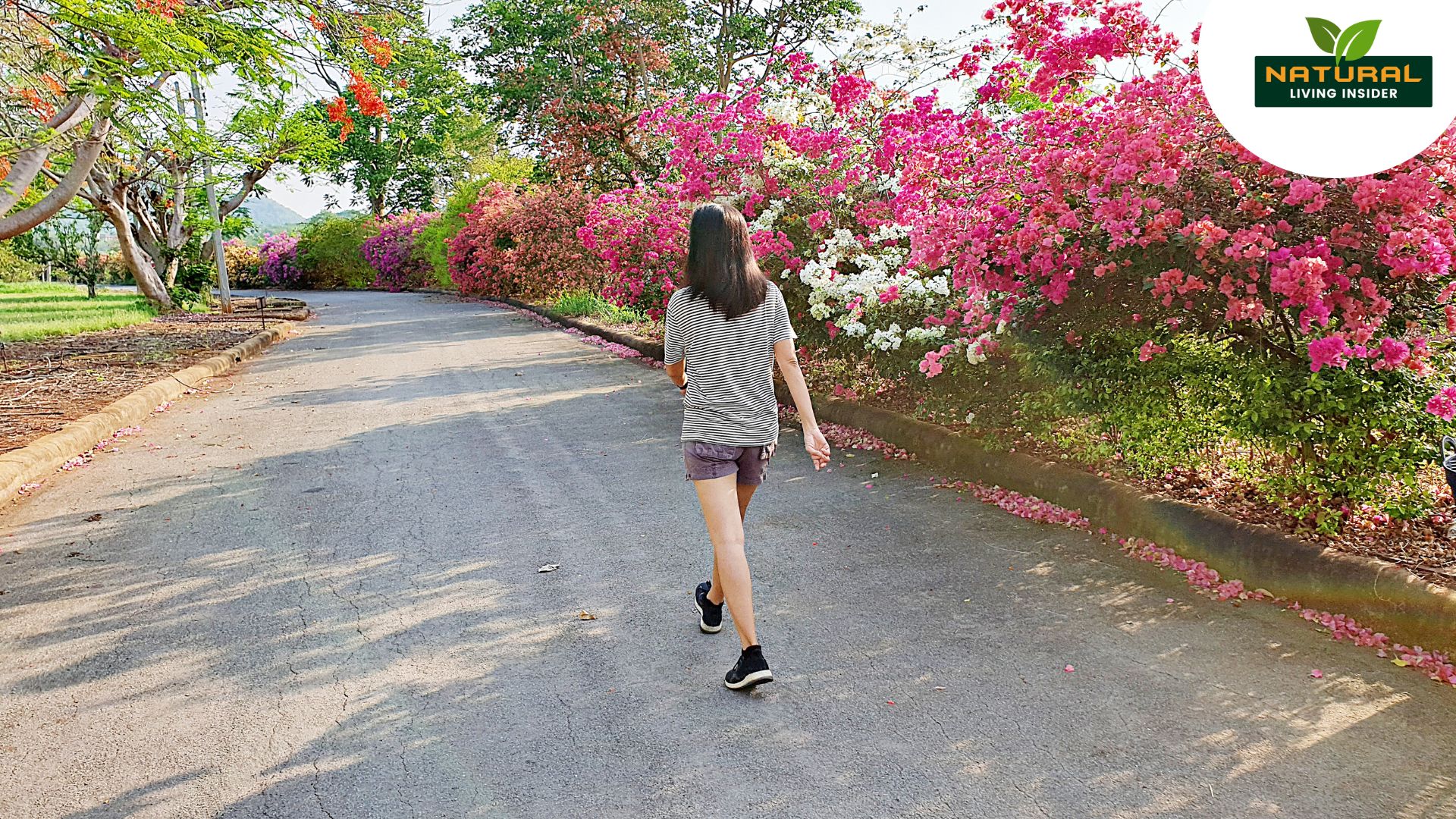How a Daily Long Walk Can Transform Your Mind and Body