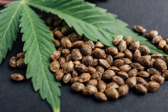 Why Athletes Are Suddenly Obsessed With Hemp Seeds