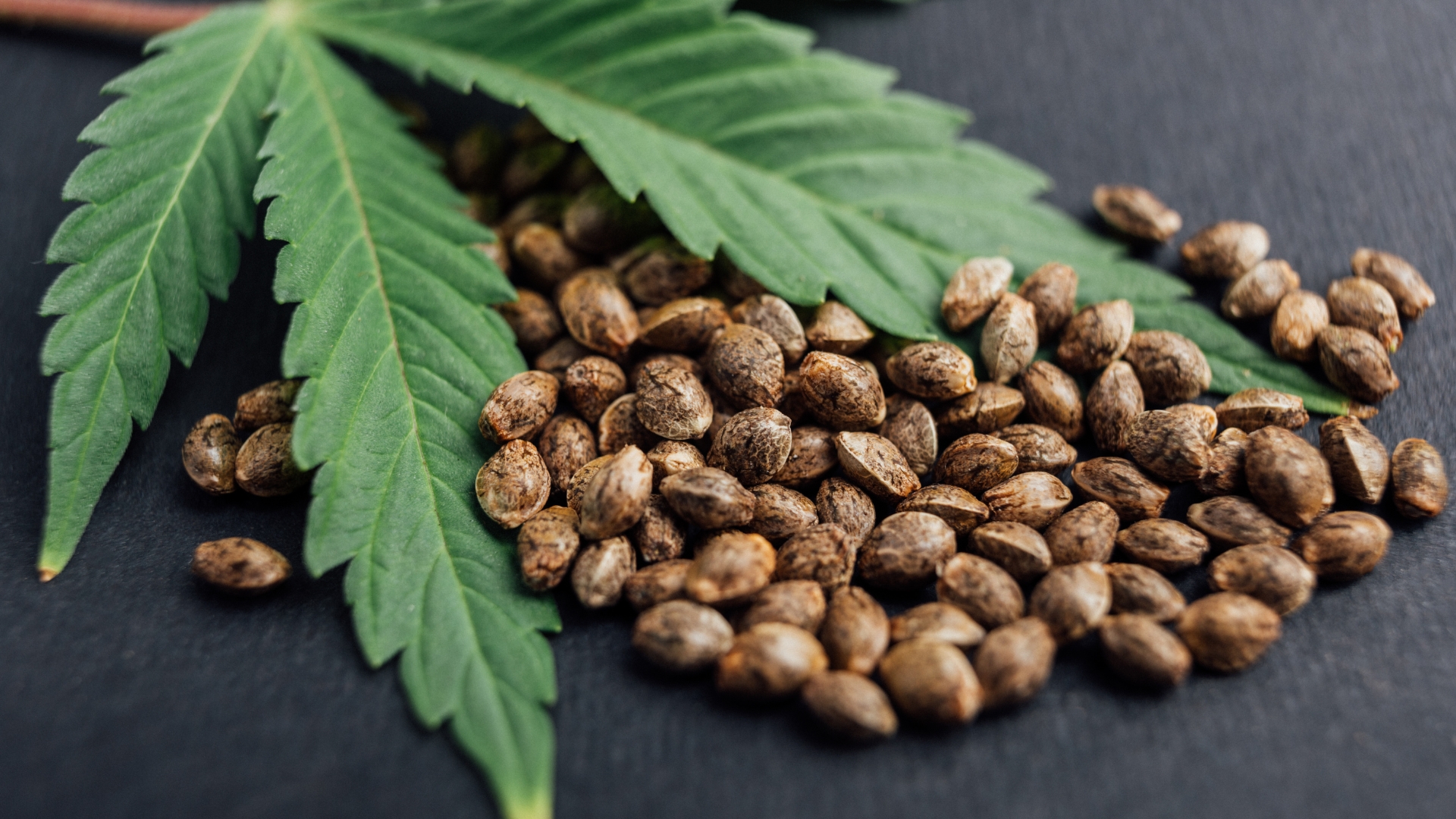 Why Athletes Are Suddenly Obsessed With Hemp Seeds