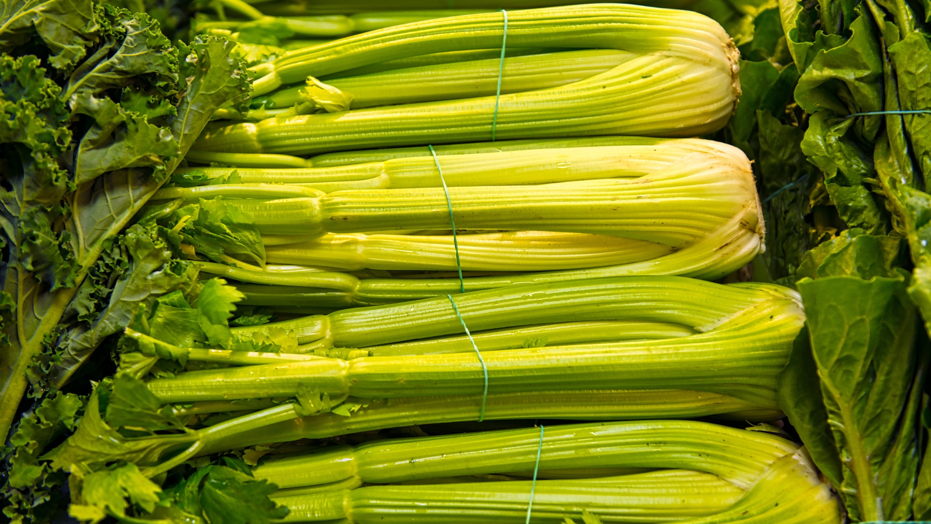 Health Benefits and Side Effects of Celery