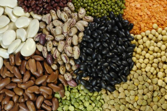 Which pulses are high in protein