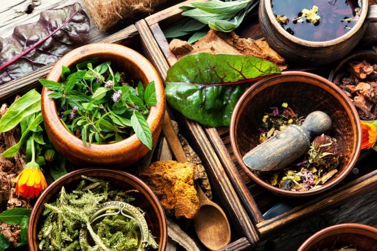 Why Indian Grandmothers Still Trust These 5 Herbs