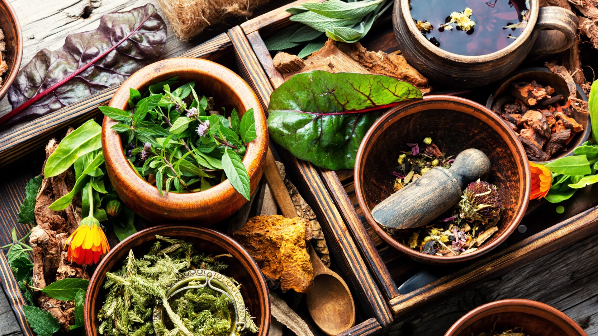 Why Indian Grandmothers Still Trust These 5 Herbs