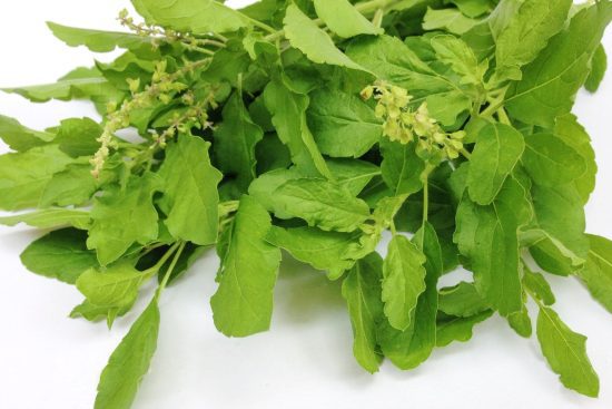 Benefits of Eating Basil Leaves Daily-min