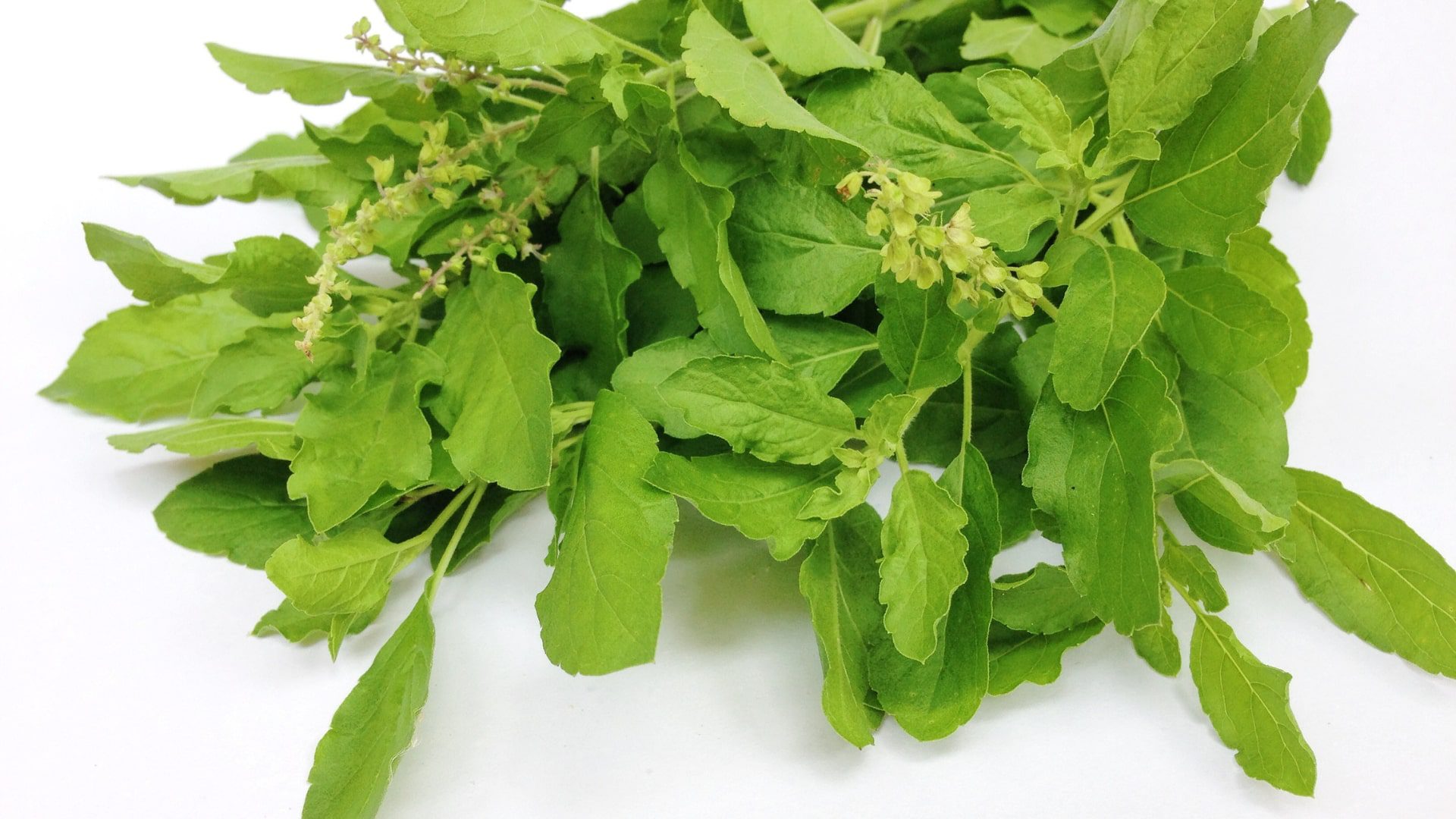 Benefits of Eating Basil Leaves Daily-min