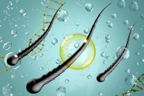 Can Eggs Really Boost Hair Growth Find Out!-min