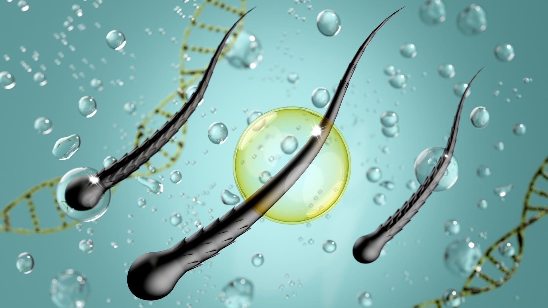 Can Eggs Really Boost Hair Growth Find Out!-min