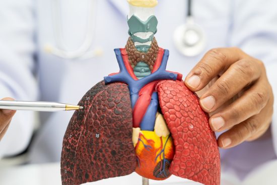 How to Keep Your Lungs Healthy Tips for Stronger, Cleaner Lungs-min