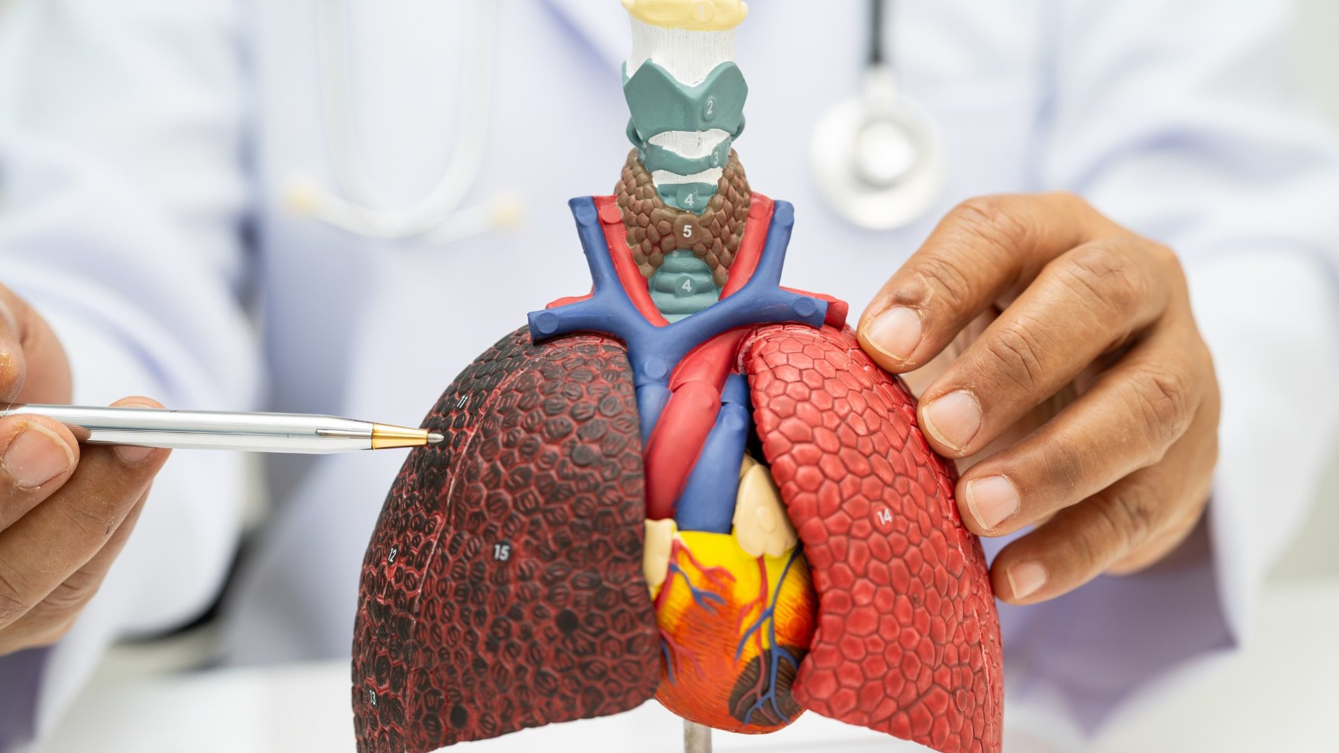 How to Keep Your Lungs Healthy Tips for Stronger, Cleaner Lungs-min
