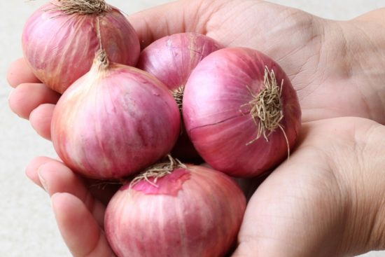 What Happens to Your Body When You Eat Onions Regularly-min