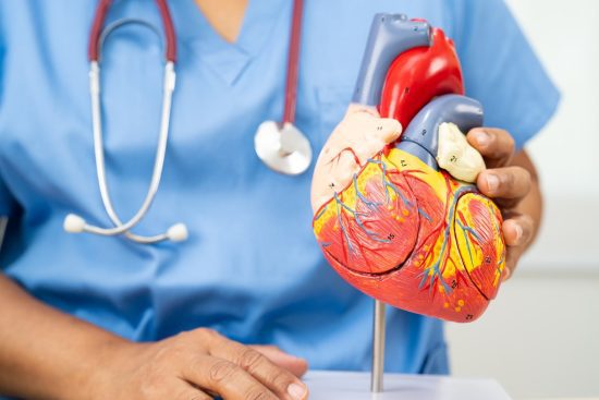 How Excess Weight Impacts Your Heart and Cardiovascular System-min