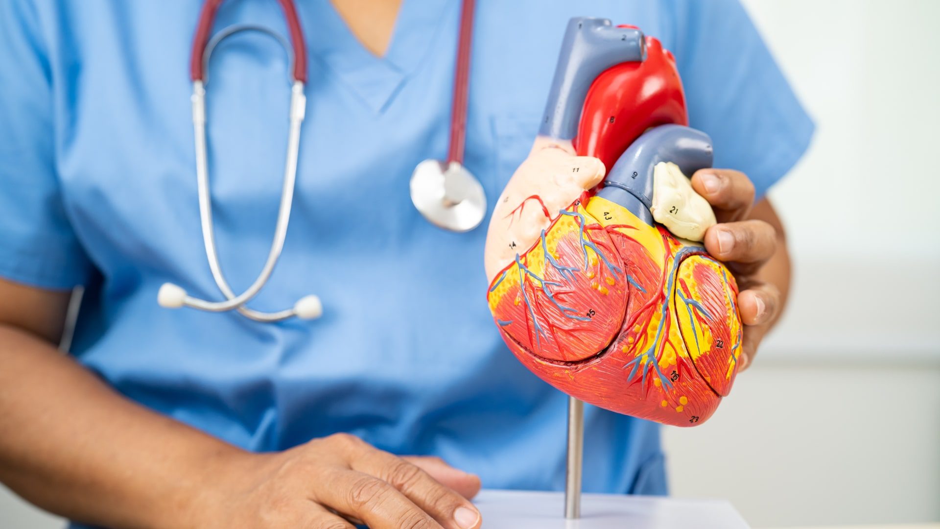 How Excess Weight Impacts Your Heart and Cardiovascular System-min