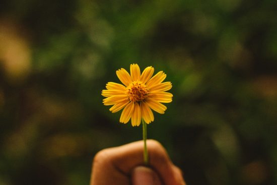 How to Improve Well-Being Simple and Effective Daily Habits-min