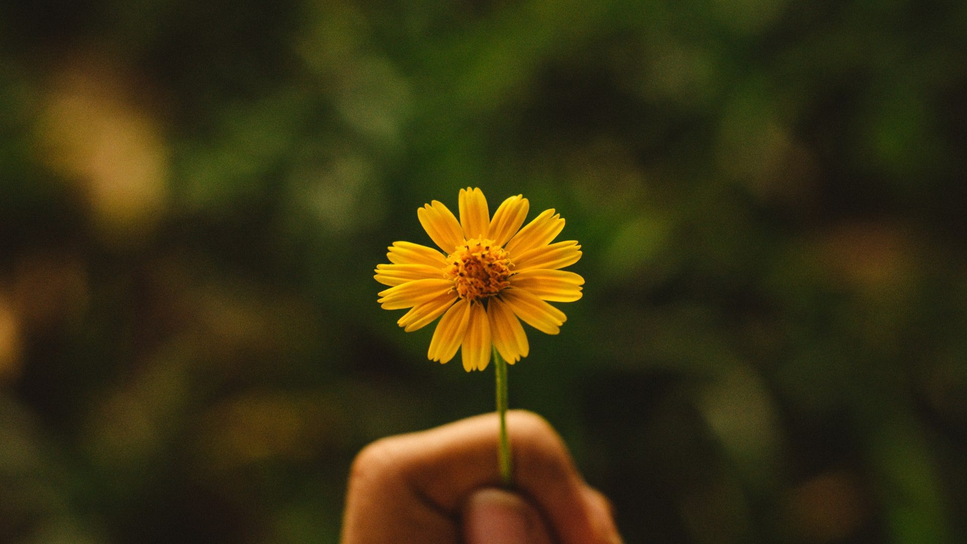 How to Improve Well-Being Simple and Effective Daily Habits-min