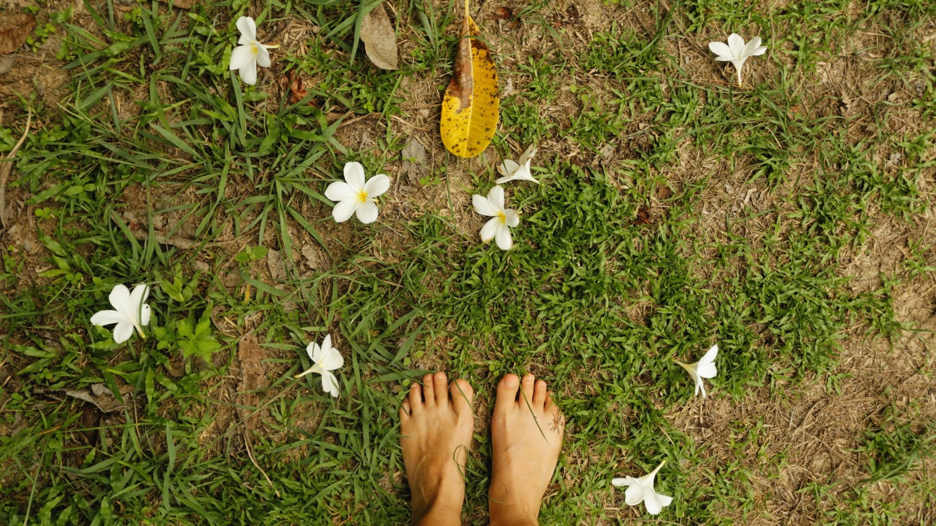 Benefits of Grounding (Earthing): A Natural Path to Better Health