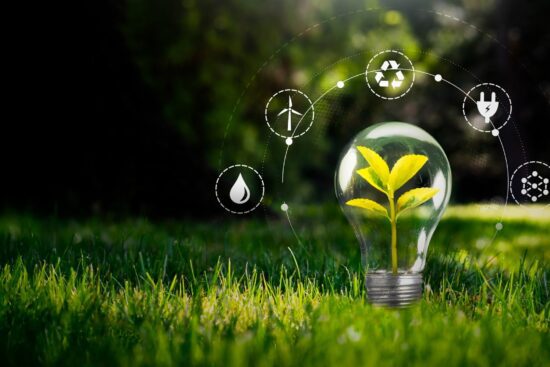 Natural Living & Environmental Awareness