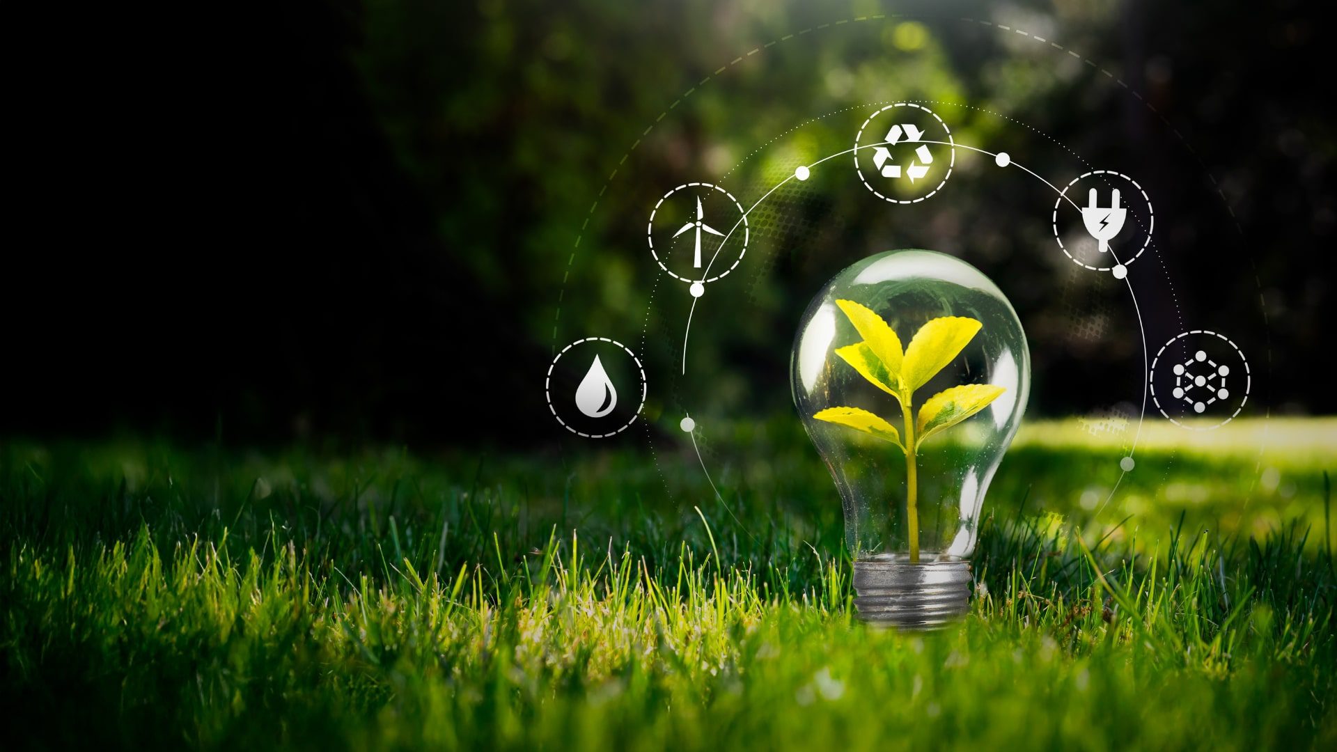 Natural Living & Environmental Awareness