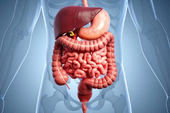 Superfoods for Immunity, Energy, Skin, and Digestion