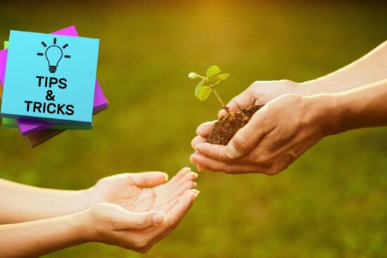 Daily Rituals for a Stress-Free Natural Life | Natural Living Tips